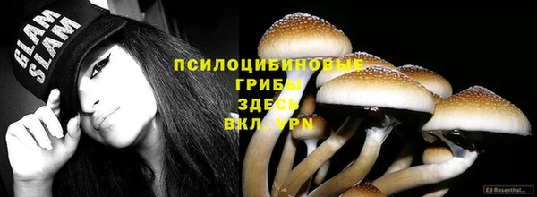 амф Дмитровск