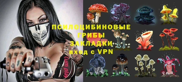 ГАЛЛЮЦИНОГЕННЫЕ ГРИБЫ Дмитров