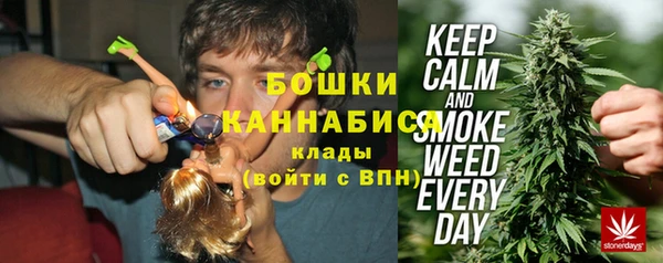 ГАЛЛЮЦИНОГЕННЫЕ ГРИБЫ Дмитров