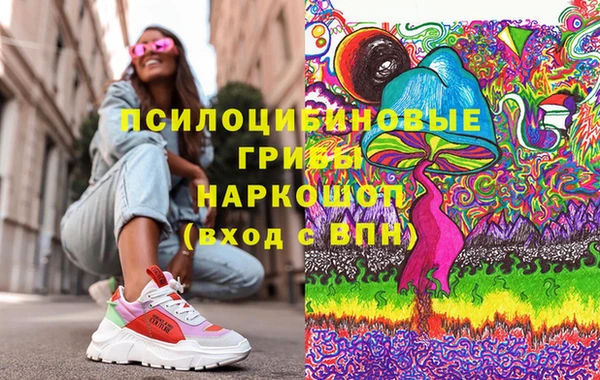 ГАЛЛЮЦИНОГЕННЫЕ ГРИБЫ Дмитров