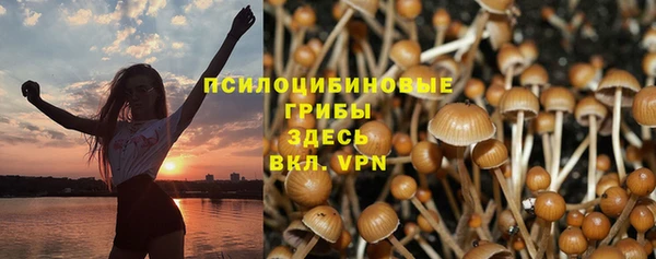 амф Дмитровск