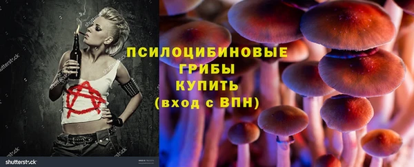 ECSTASY Дмитриев